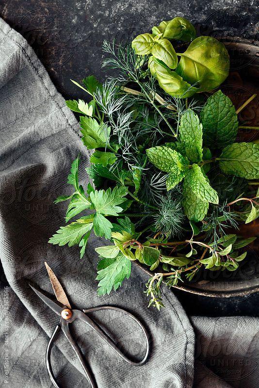 Roots & Fruits Earthly Delights Bundle